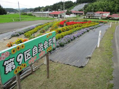 第9区自治会の受賞花壇
