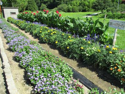 宝築ユートピアガーデンの受賞花壇