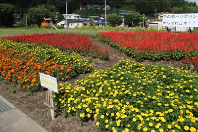 高成自治会の受賞花壇