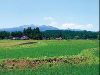 Mt. Kurikomayama viewed from center of Hondera. Name meaning “chestnut-horse mountain” derives from horse-shaped snow pattern at rice planting time. (Photograph courtesy of Ichinoseki City Museum.)