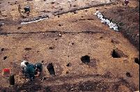 Umenokita Site: Foreground posthole size indicates building larger than normal house, substantiating depiction in household map. Perhaps Chūsonji Sutra Repository steward’s rest area.