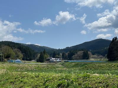 黄金山を望む風景