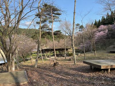 整備されたキャンプサイトの様子