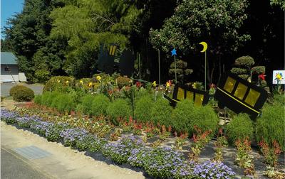 一般花壇部門 巻畑自治会社会部（川崎）