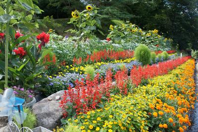 一般花壇部門 遠藤　清子（室根）