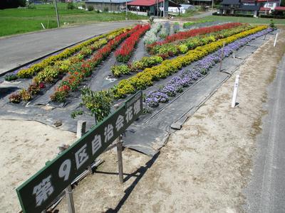 大規模花壇部門 第9区自治会（千厩）