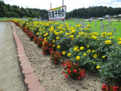 一般花壇部門 花貫自治会（千厩）
