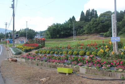 大規模花壇部門 峠自治会　大町裏銀座会（大東）