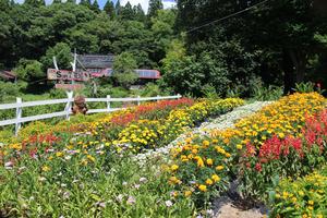 第37区自治会の花壇