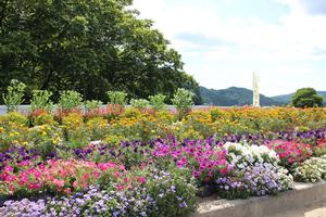 第18区自治会の花壇