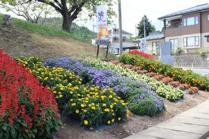 第3区自治会の花壇
