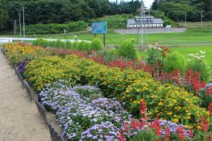 第14区自治会の花壇