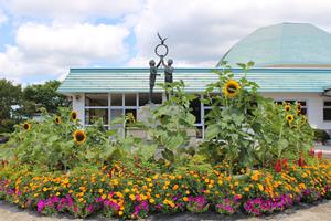 (一社)一関市スポーツ協会藤沢地域施設事務所の花壇
