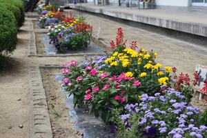 一関市立黄海小学校の花壇