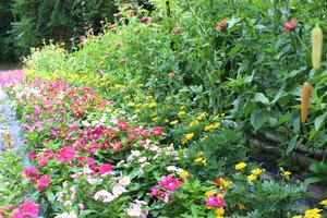 伊東ミヨ子氏の花壇