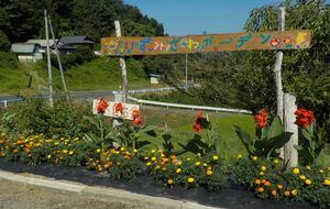 一般花壇部門奨励賞を受賞した泉沢自治会の花壇