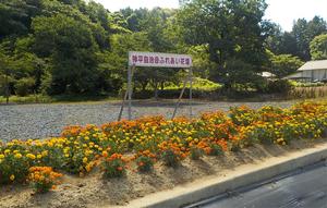 一般花壇部門奨励賞を受賞した神平自治会の花壇