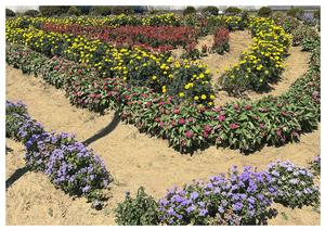 一関17民区環境部の花壇の写真