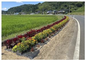 萩荘本郷自治会の花壇の写真