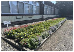 山谷地域振興協議会の花壇の写真
