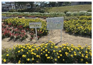 東中田喜楽会の花壇の写真