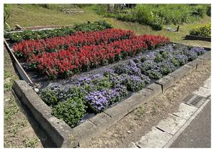 長倉花の会の花壇の写真