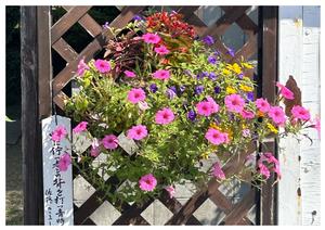 銅谷民区の花壇の写真