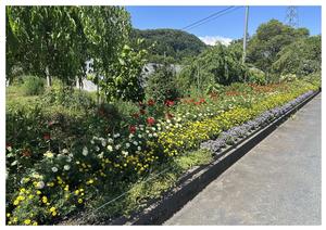 佐藤善男さんの花壇の写真