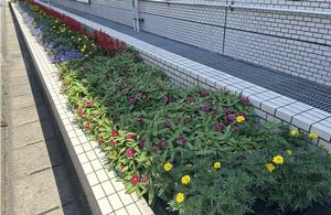 一関郵便局の花壇の写真