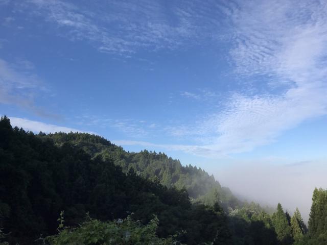 景観