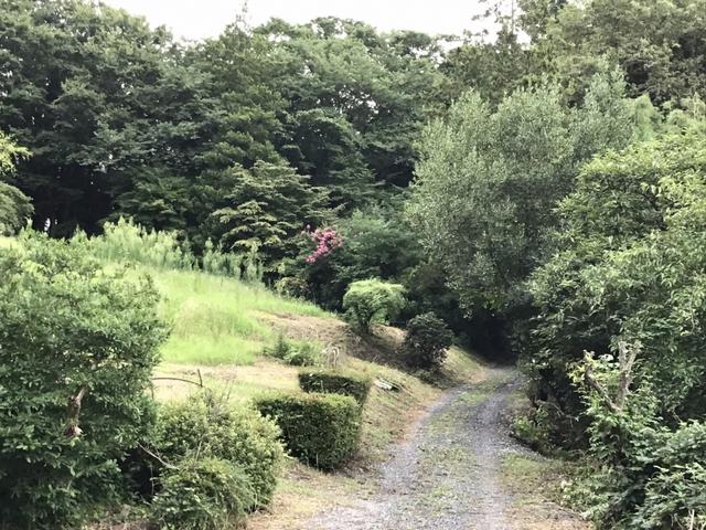 入口道路