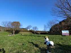千石河川公園の写真