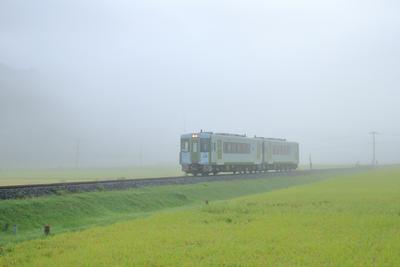 朝霧を行く。