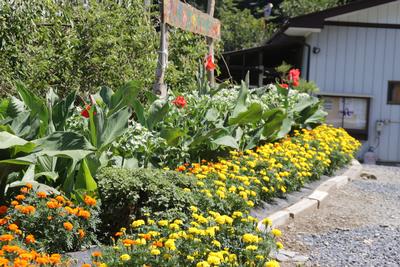 泉沢自治会