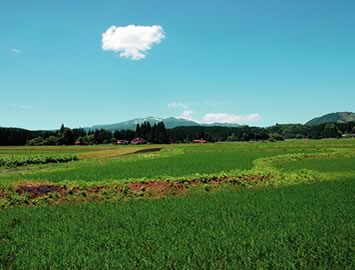 要害橋から骨寺村絵図描写を眺める風景
