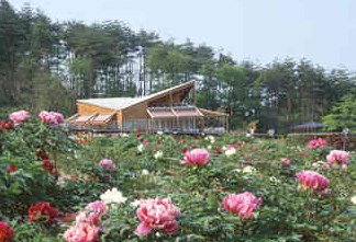花と泉の公園 ぼたん園