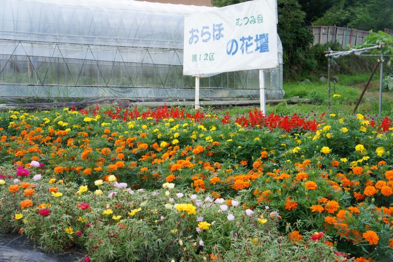 むつみ会の花壇の写真