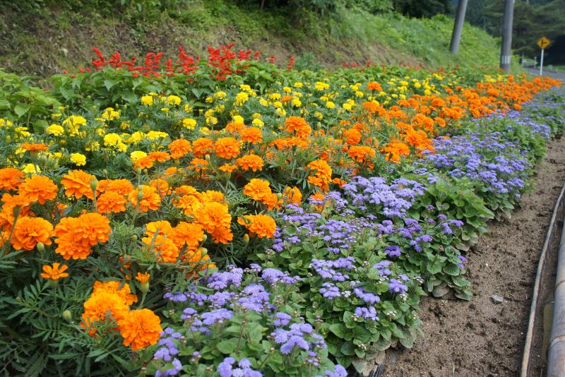 矢越第６部落親睦会の花壇の写真