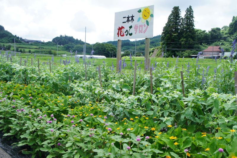 二本木花っこサロンの花壇の写真