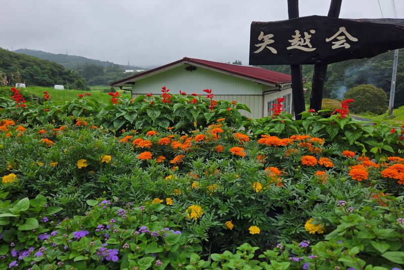 矢越典型部落矢越会の花壇の写真