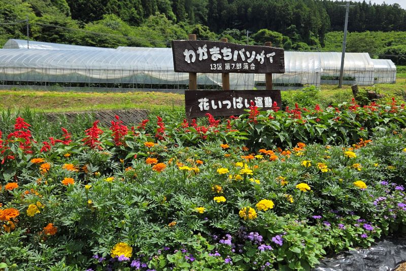 第13区自治会第7部落会の花壇の写真