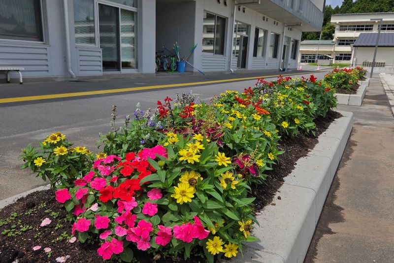 室根小学校環境委員会の花壇の写真