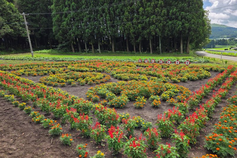 屋中自治会の花壇の写真