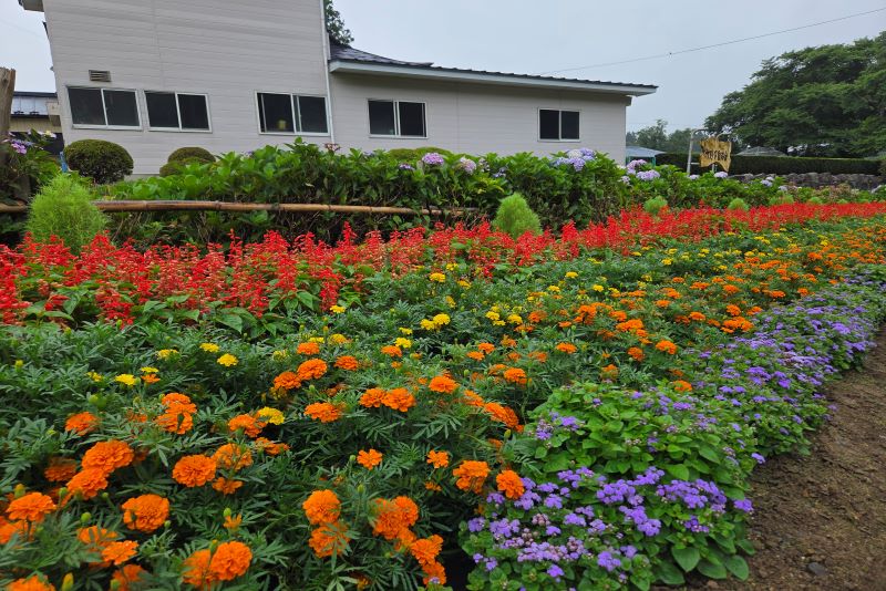 竹野下自治会の花壇の写真