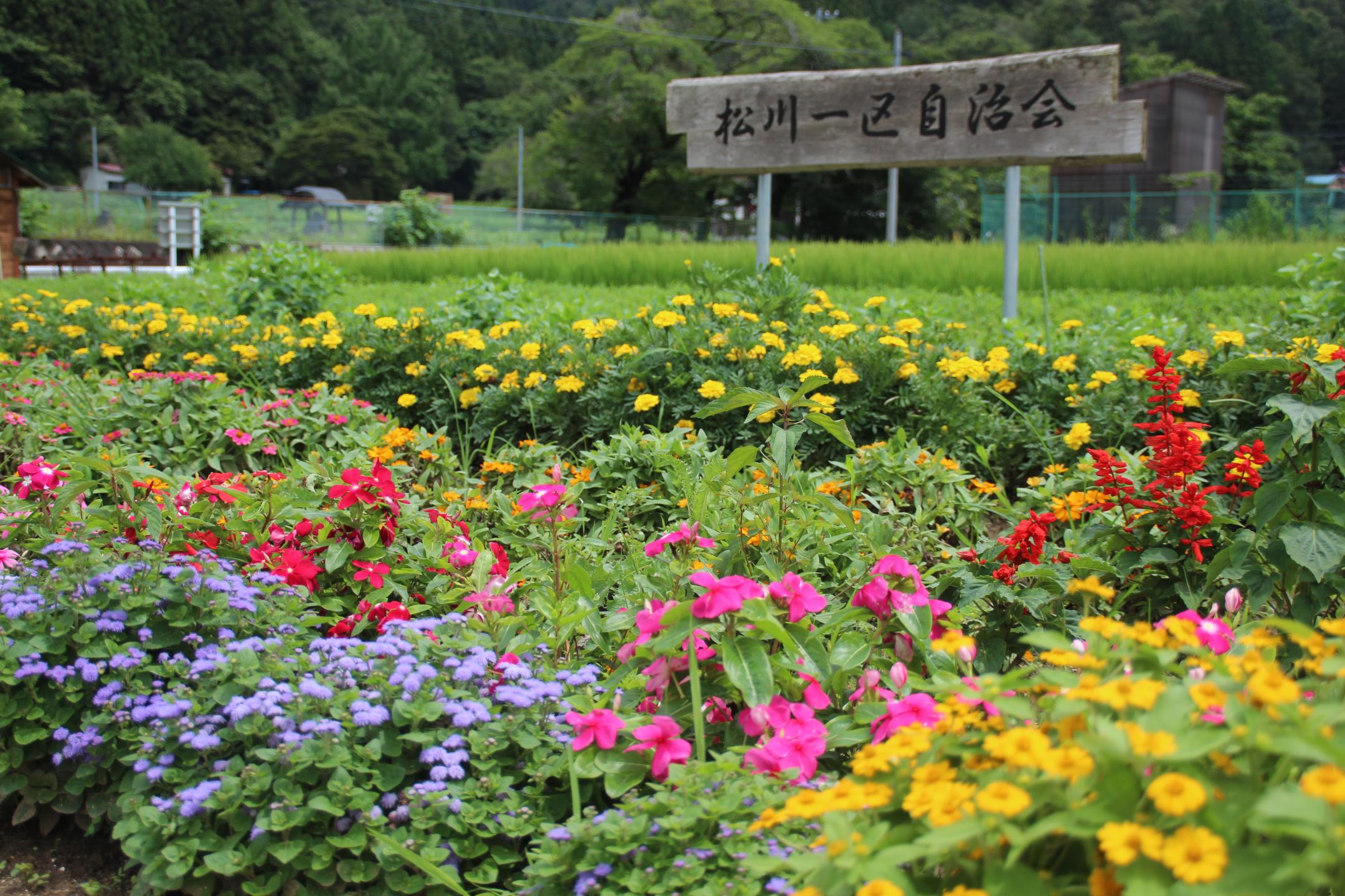 松川１区自治会の花壇画像