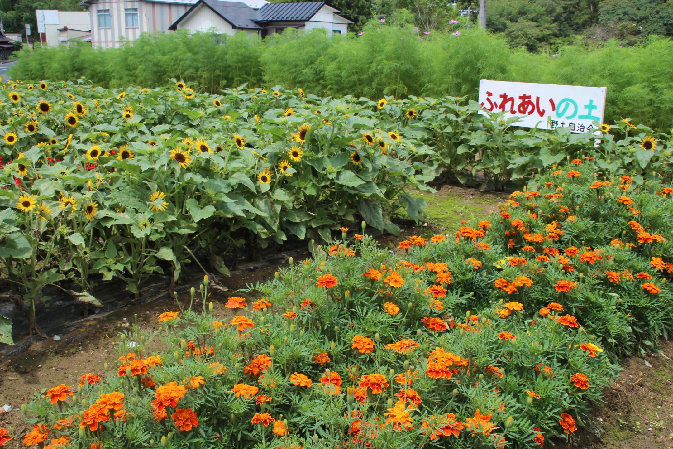野土自治会の花壇画像