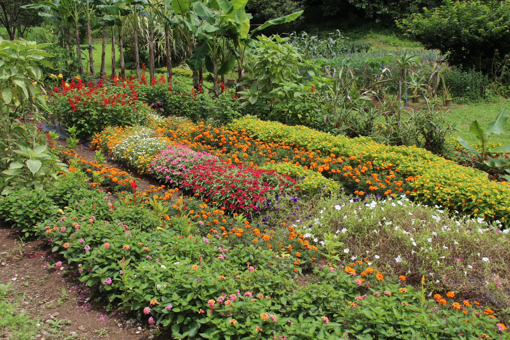 松川８区自治会の花壇画像